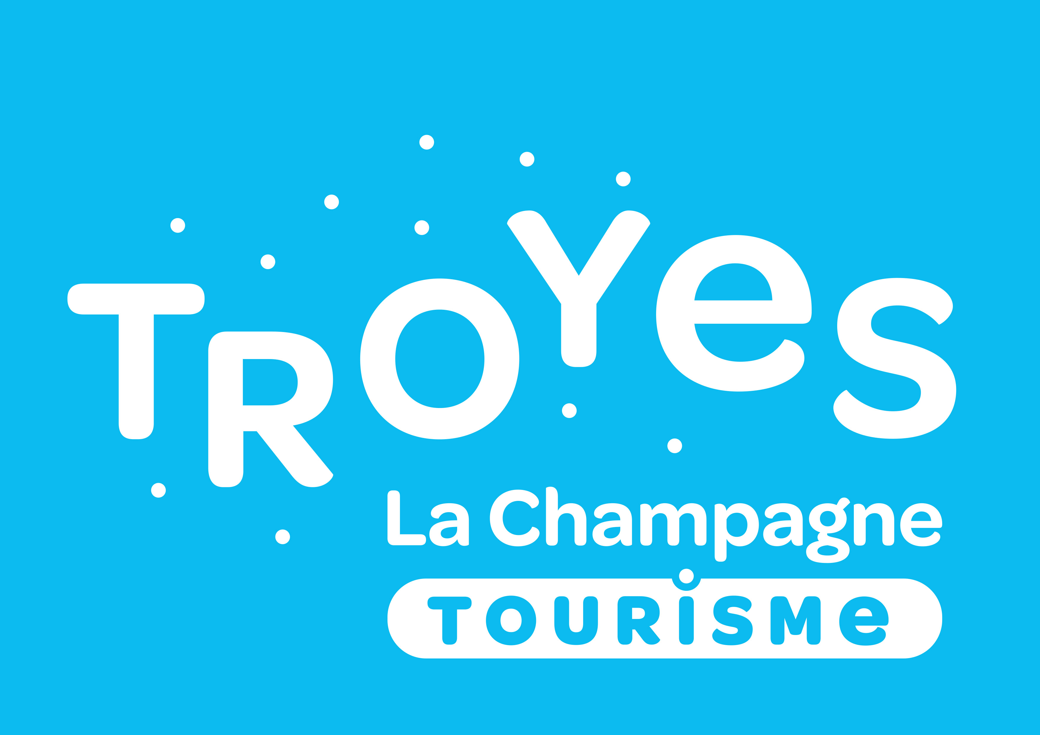 VTC Troyes — centre historique à pans de bois, MonChauffeurVIP