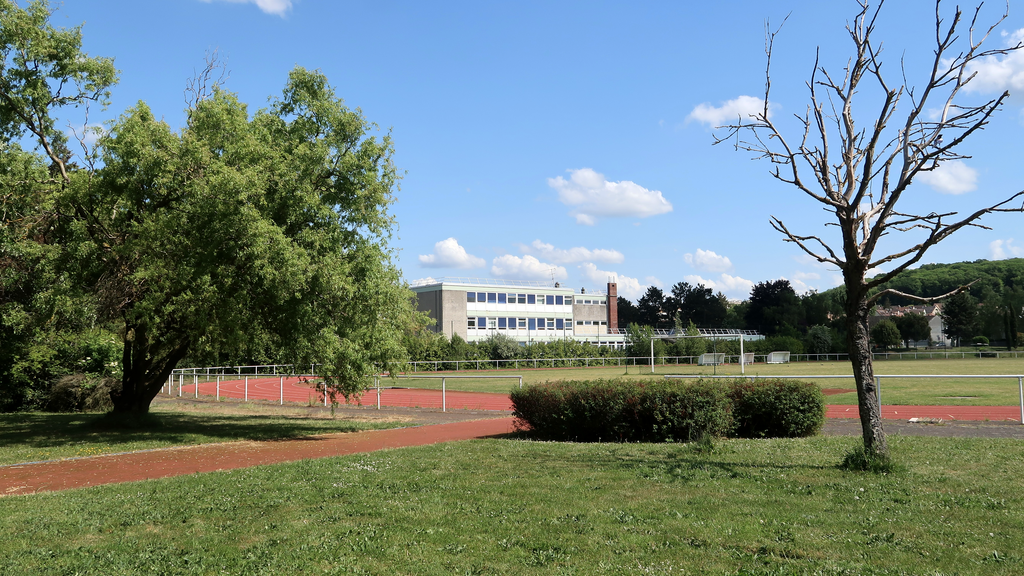 VTC Les Clayes-sous-Bois berline et VAN 7 places – MonChauffeurVIP 06 18 33 21 74