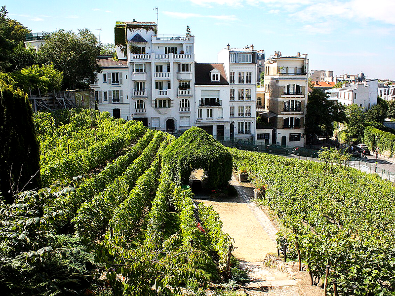 VAN VTC Paris 18e vigne Montmartre – MonChauffeurVIP 06 18 33 21 74