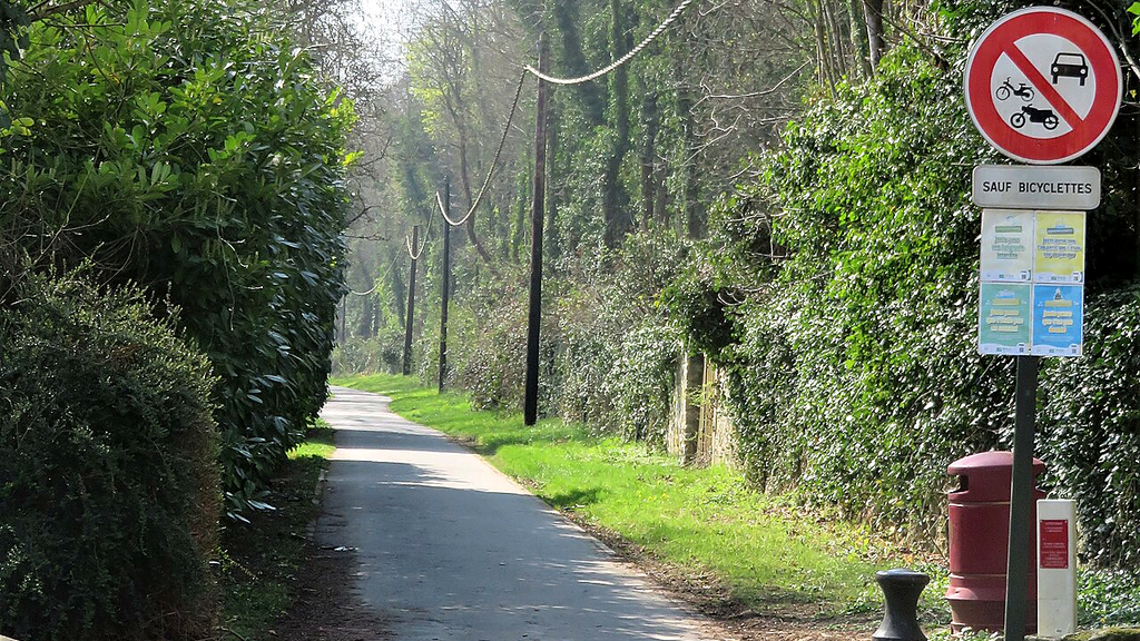 VTC La Rochette sentier forêt Bois-le-Roi – chauffeur privé 77240 MonChauffeurVIP