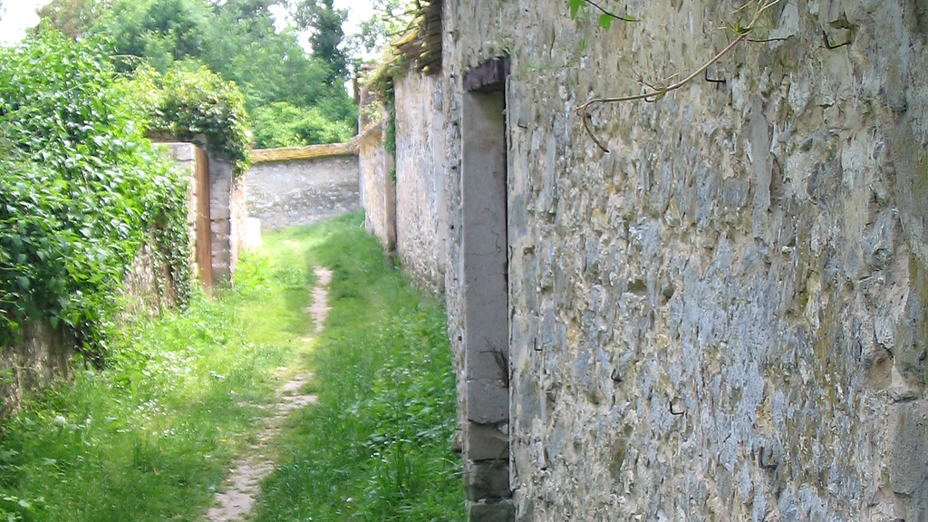VTC Thomery murs à chasselas monuments historiques – chauffeur privé 77810 MonChauffeurVIP