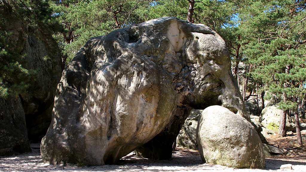 VTC Larchant rocher de l'Éléphant forêt – chauffeur privé 77760 MonChauffeurVIP