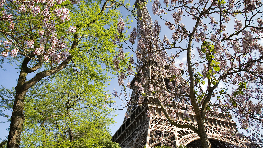 VTC Paris 7e Tour Eiffel – MonChauffeurVIP 06 18 33 21 74