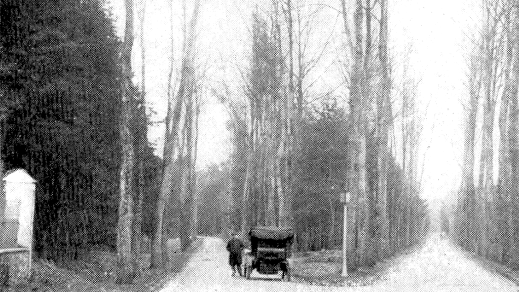 VTC Arbonne-la-Forêt forêt Fontainebleau – chauffeur privé 77630 MonChauffeurVIP