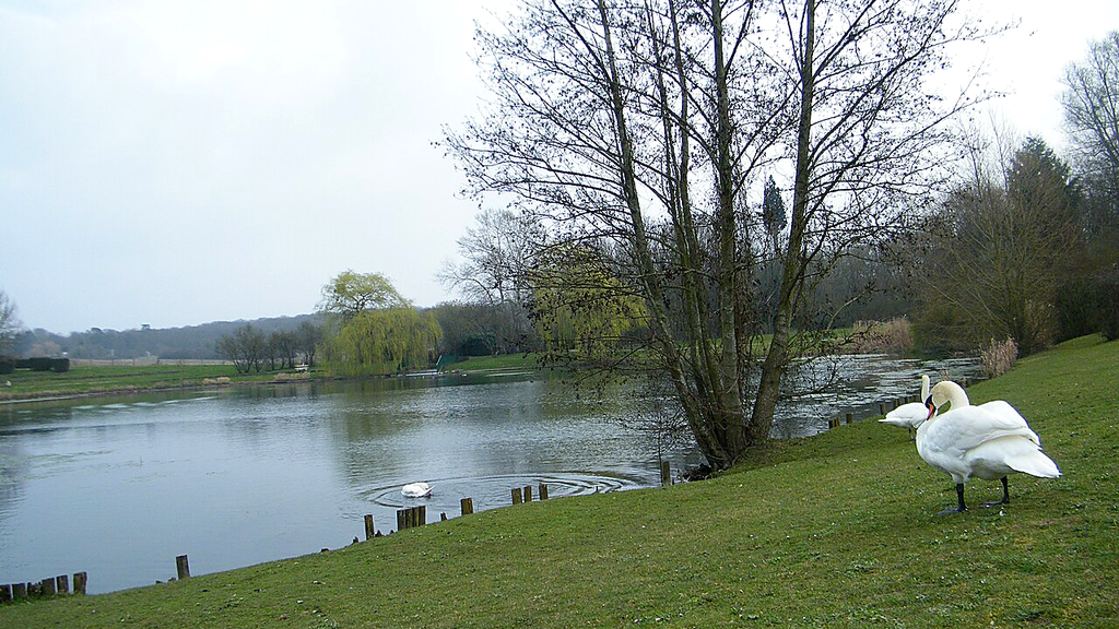 Lac de Tigery – VTC chauffeur privé 91250 MonChauffeurVIP