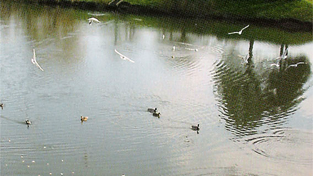 VTC Saran lac de la Médecinerie 45770 Loiret – MonChauffeurVIP 06 18 33 21 74
